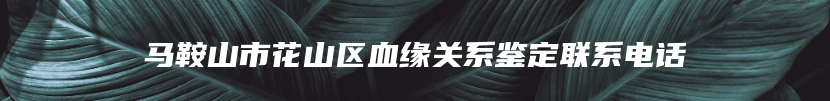 马鞍山市花山区血缘关系鉴定联系电话