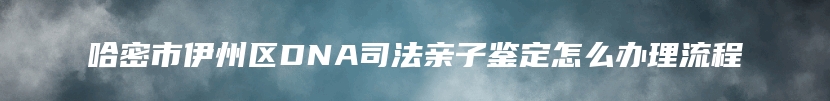 哈密市伊州区DNA司法亲子鉴定怎么办理流程