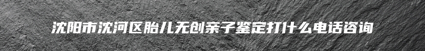 沈阳市沈河区胎儿无创亲子鉴定打什么电话咨询