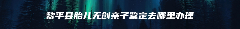 黎平县胎儿无创亲子鉴定去哪里办理