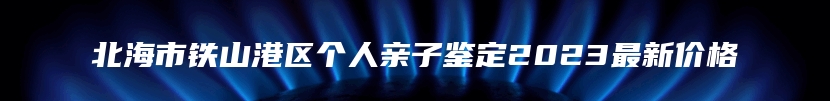 北海市铁山港区个人亲子鉴定2023最新价格