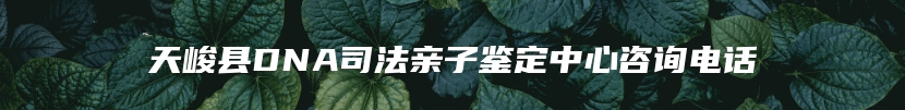 天峻县DNA司法亲子鉴定中心咨询电话