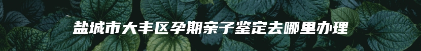 盐城市大丰区孕期亲子鉴定去哪里办理
