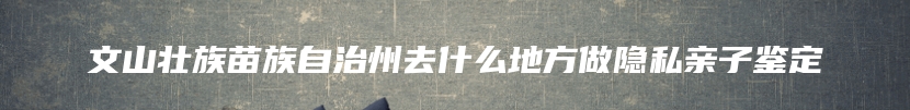 文山壮族苗族自治州去什么地方做隐私亲子鉴定