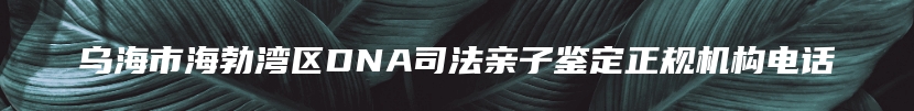 乌海市海勃湾区DNA司法亲子鉴定正规机构电话