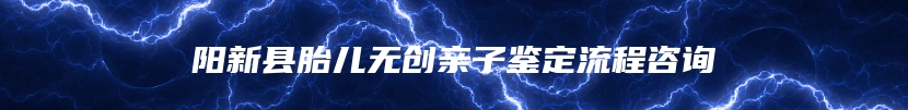 阳新县胎儿无创亲子鉴定流程咨询