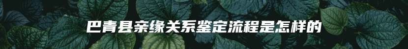 巴青县亲缘关系鉴定流程是怎样的