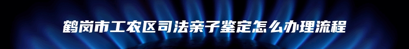 鹤岗市工农区司法亲子鉴定怎么办理流程