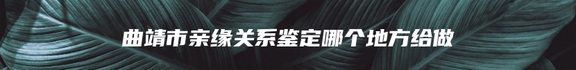 曲靖市亲缘关系鉴定哪个地方给做