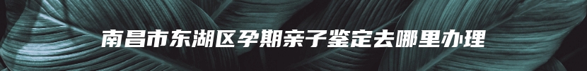 南昌市东湖区孕期亲子鉴定去哪里办理