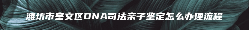 潍坊市奎文区DNA司法亲子鉴定怎么办理流程