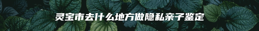 灵宝市去什么地方做隐私亲子鉴定