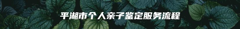 平湖市个人亲子鉴定服务流程