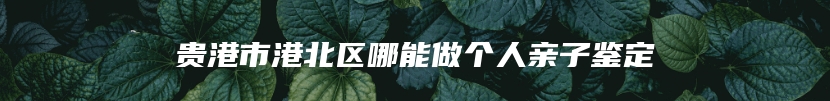 贵港市港北区哪能做个人亲子鉴定