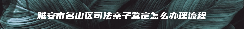 雅安市名山区司法亲子鉴定怎么办理流程