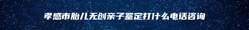 孝感市胎儿无创亲子鉴定打什么电话咨询