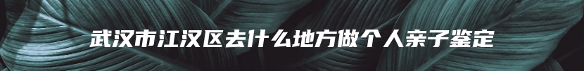 武汉市江汉区去什么地方做个人亲子鉴定