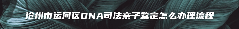 沧州市运河区DNA司法亲子鉴定怎么办理流程