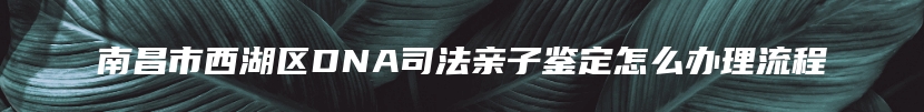 南昌市西湖区DNA司法亲子鉴定怎么办理流程