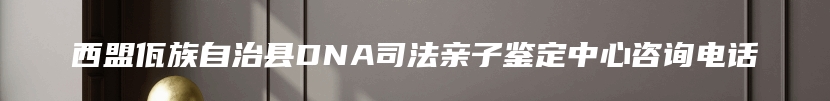 西盟佤族自治县DNA司法亲子鉴定中心咨询电话