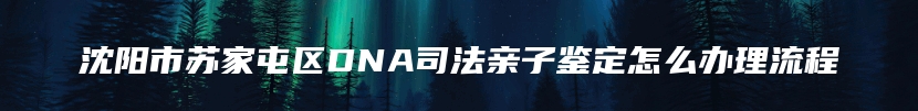 沈阳市苏家屯区DNA司法亲子鉴定怎么办理流程