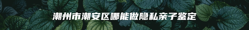 潮州市潮安区哪能做隐私亲子鉴定
