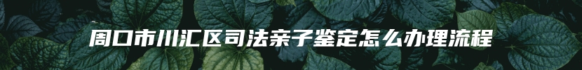 周口市川汇区司法亲子鉴定怎么办理流程