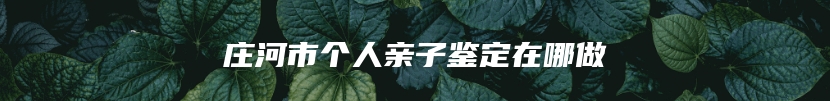 庄河市个人亲子鉴定在哪做