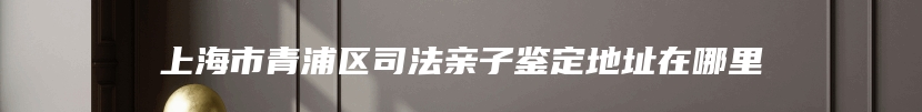 上海市青浦区司法亲子鉴定地址在哪里