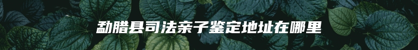 勐腊县司法亲子鉴定地址在哪里