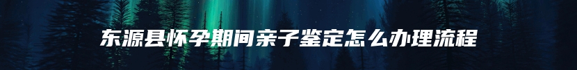 东源县怀孕期间亲子鉴定怎么办理流程