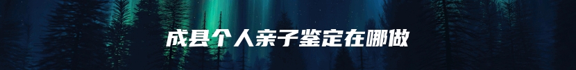 成县个人亲子鉴定在哪做