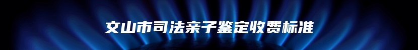 文山市司法亲子鉴定收费标准