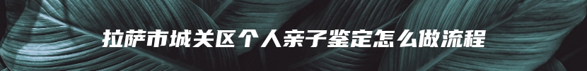 拉萨市城关区个人亲子鉴定怎么做流程