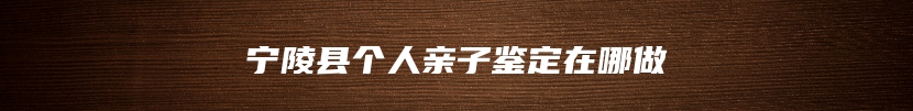 宁陵县个人亲子鉴定在哪做