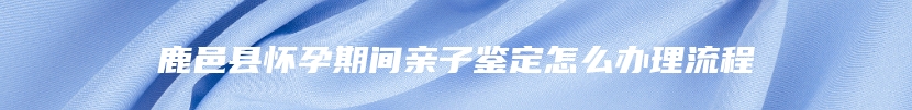 鹿邑县怀孕期间亲子鉴定怎么办理流程