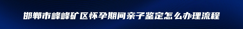 邯郸市峰峰矿区怀孕期间亲子鉴定怎么办理流程