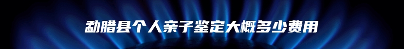 勐腊县个人亲子鉴定大概多少费用
