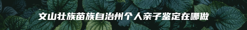 文山壮族苗族自治州个人亲子鉴定在哪做