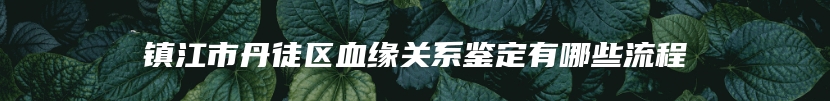 镇江市丹徒区血缘关系鉴定有哪些流程