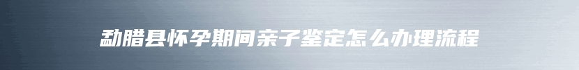 勐腊县怀孕期间亲子鉴定怎么办理流程