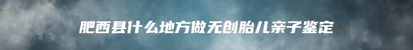 肥西县什么地方做无创胎儿亲子鉴定