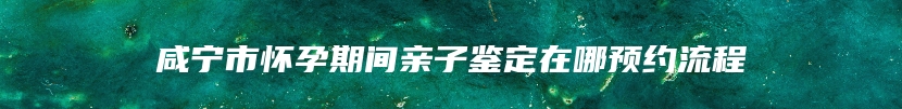 咸宁市怀孕期间亲子鉴定在哪预约流程