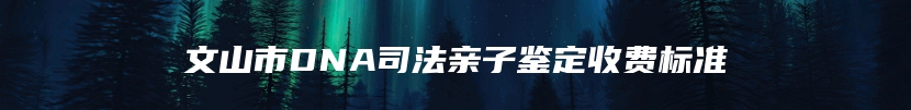 文山市DNA司法亲子鉴定收费标准