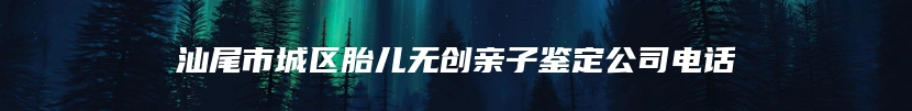汕尾市城区胎儿无创亲子鉴定公司电话