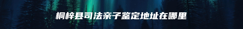 桐梓县司法亲子鉴定地址在哪里