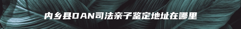 内乡县DAN司法亲子鉴定地址在哪里