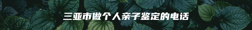 三亚市做个人亲子鉴定的电话