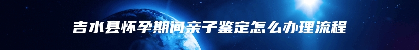 吉水县怀孕期间亲子鉴定怎么办理流程