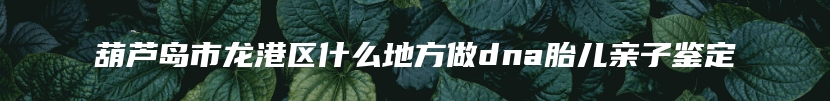 葫芦岛市龙港区什么地方做dna胎儿亲子鉴定